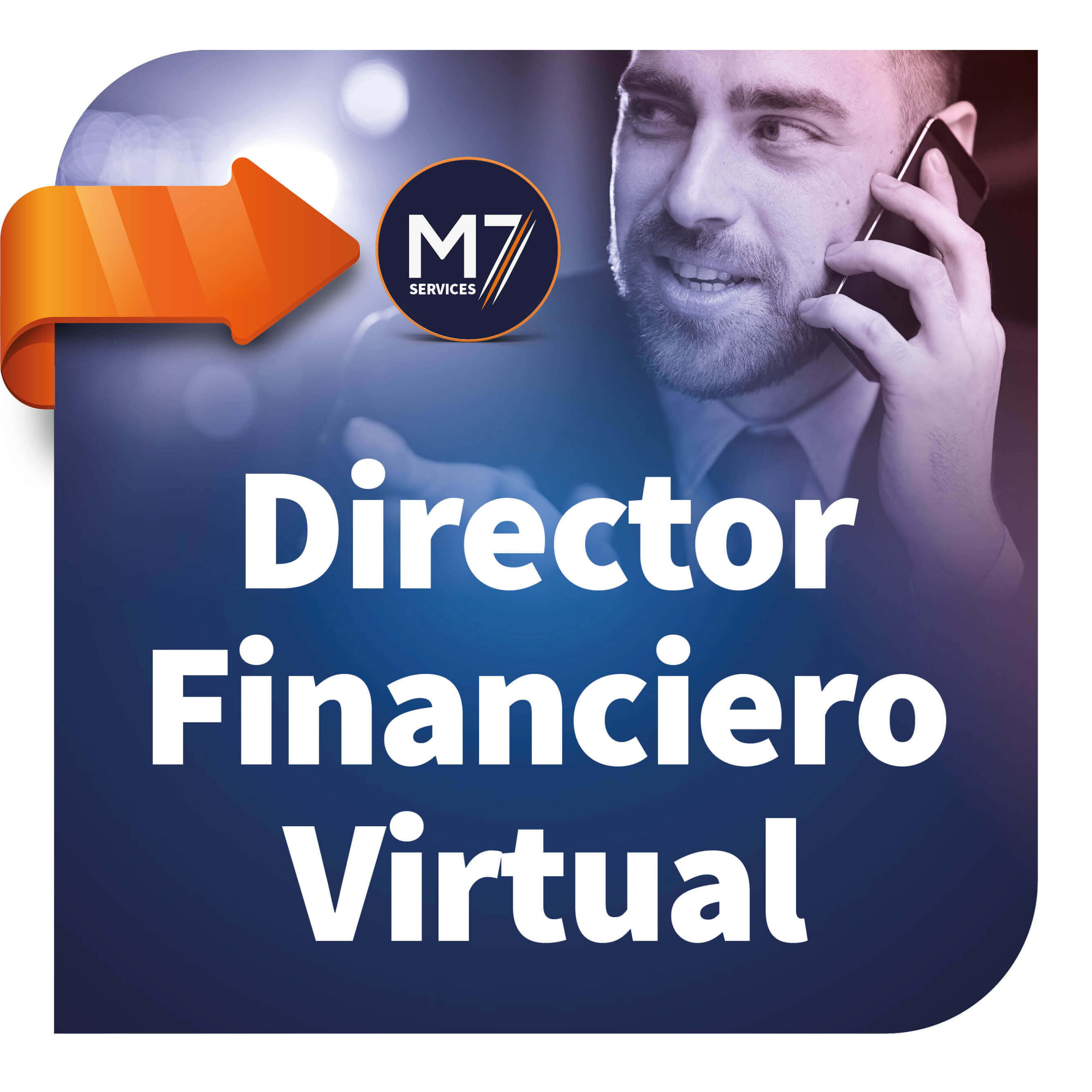 Director Financiero Virtual