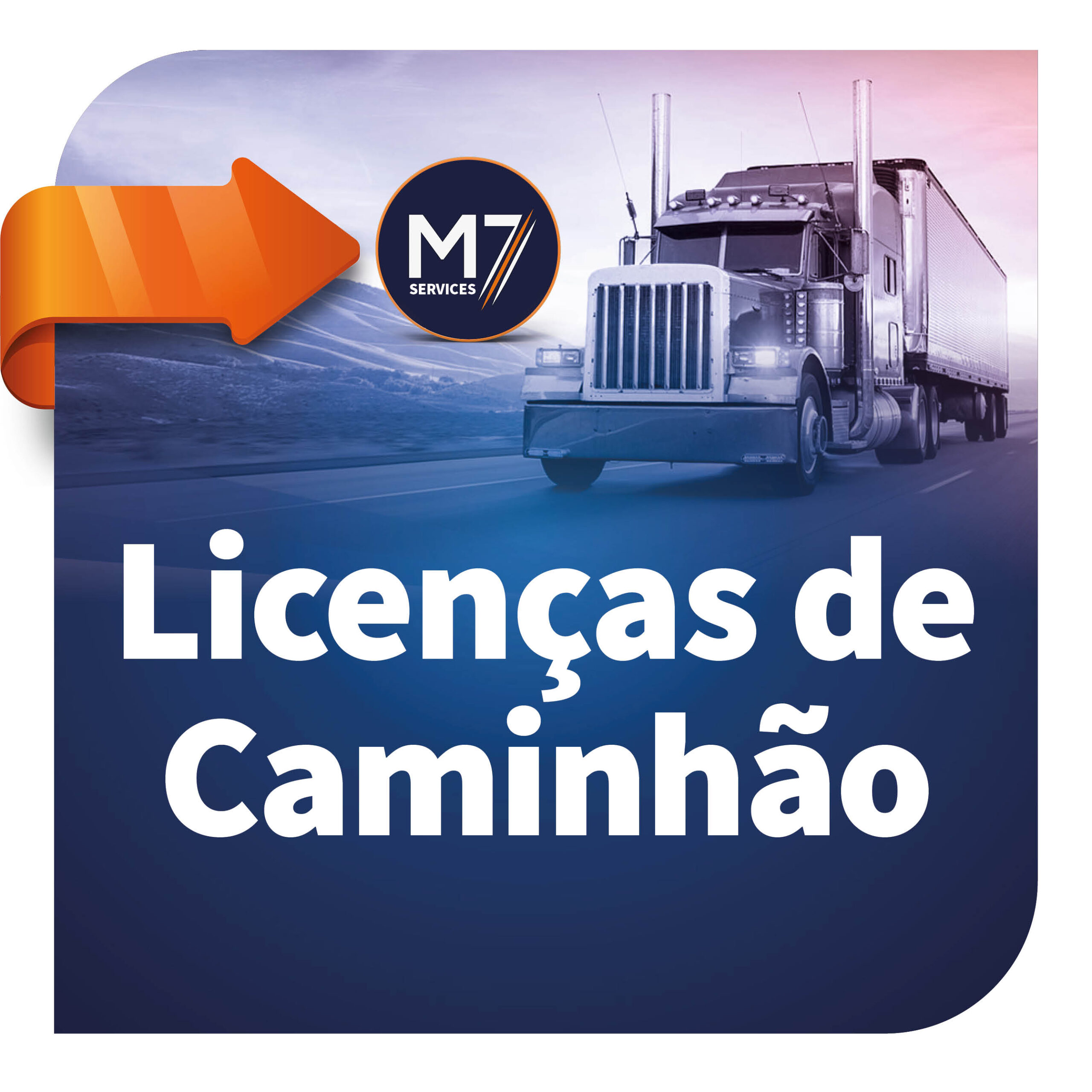 Licenças de caminhão