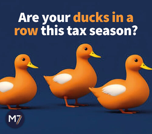 Get your ducks in a row this tax season with M7 Group's expert tax services! Stay organized and maximize your savings.